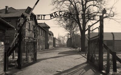 Notice Regarding the Liberation of Auschwitz